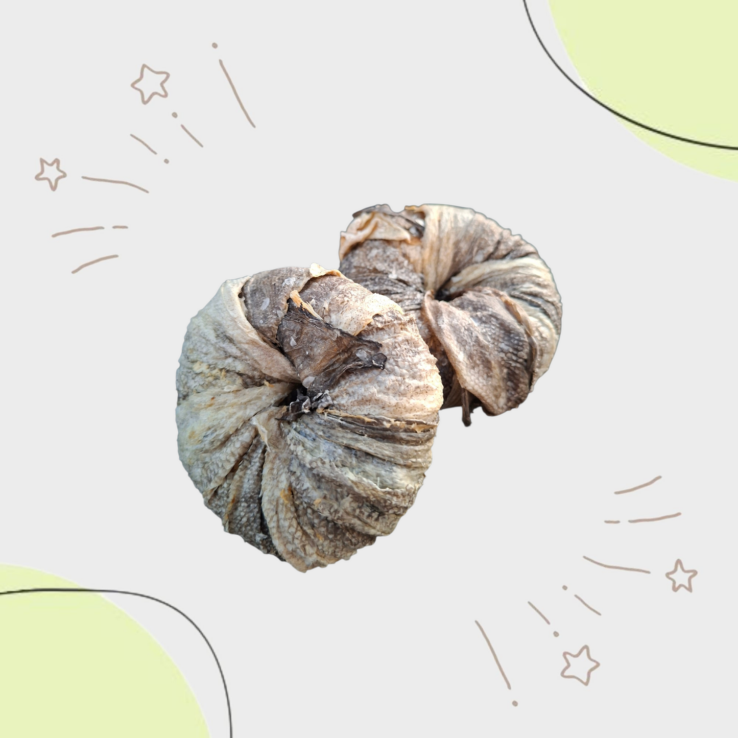 Donut au POISSON, ○7/9cm