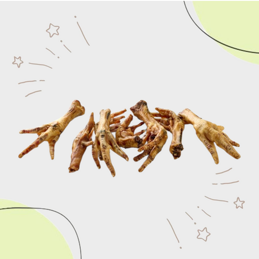 Patte de POULET