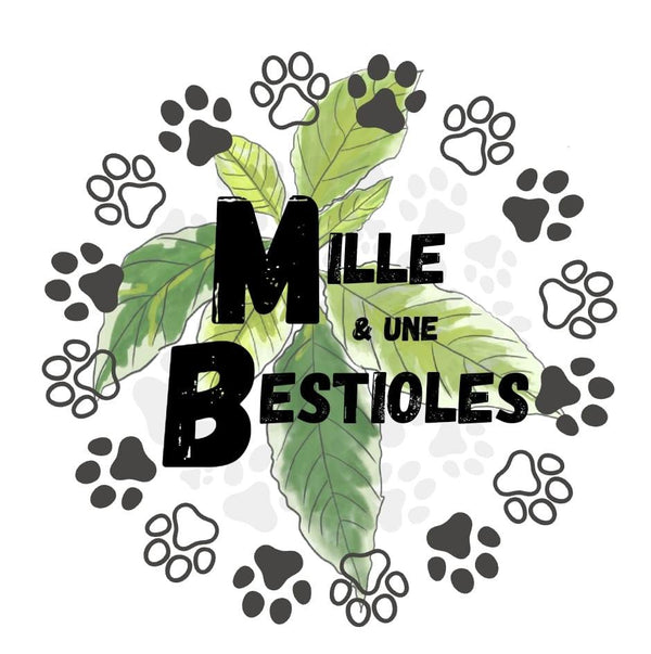 Mille et une bestioles
