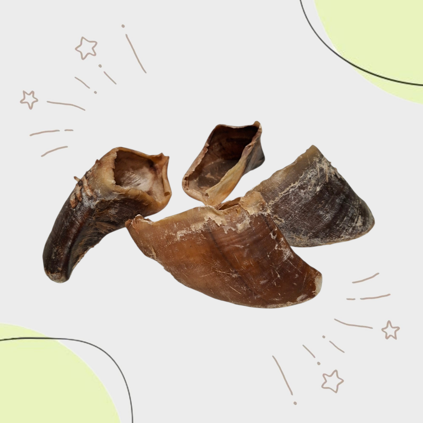 Sabot de BOEUF (unité)