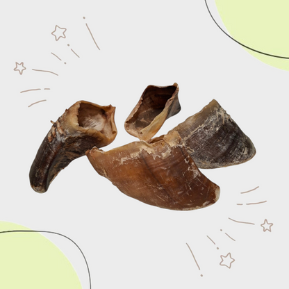 Sabot de BOEUF (unité)