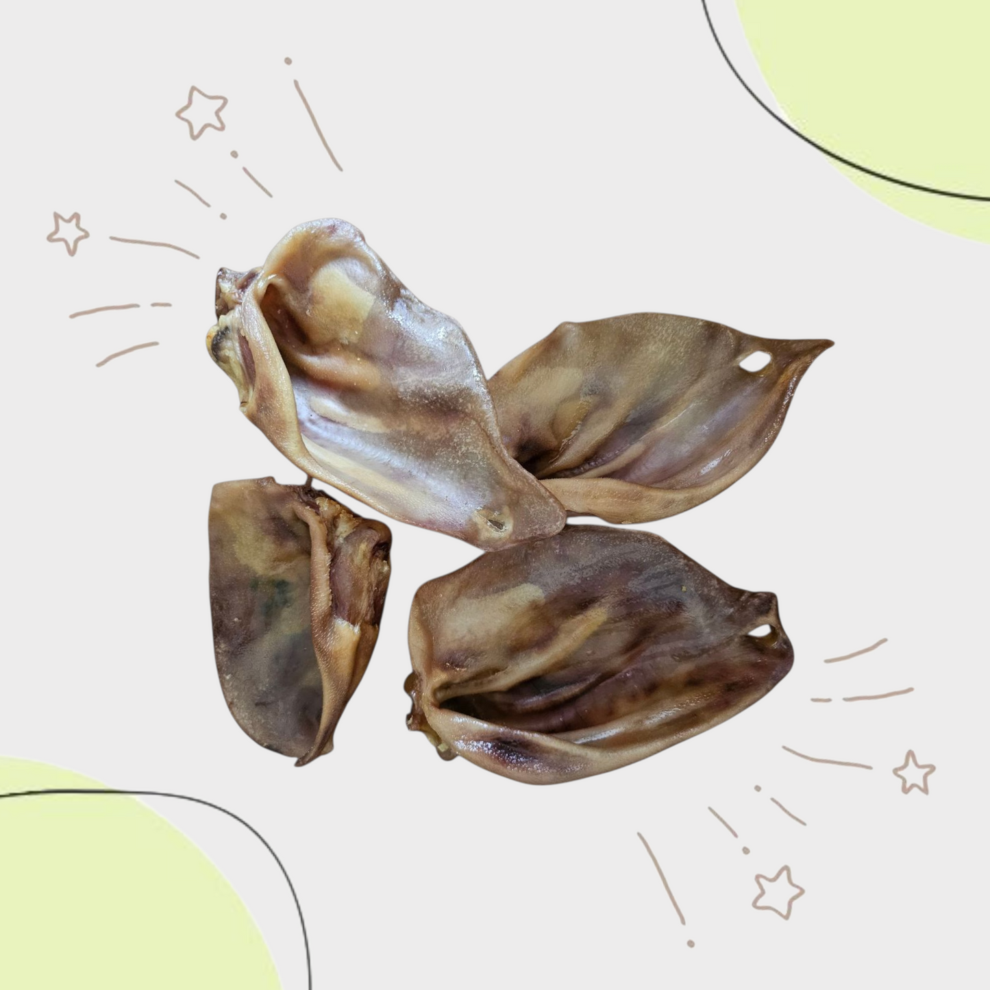Oreille de PORC
