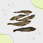 Harengs Sauvage (~12cm)