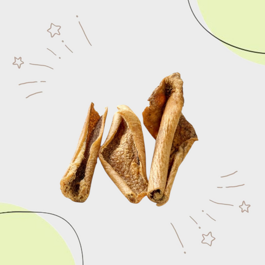 Peau de SANGLIER