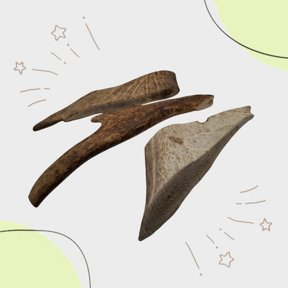 Bois de DAIM